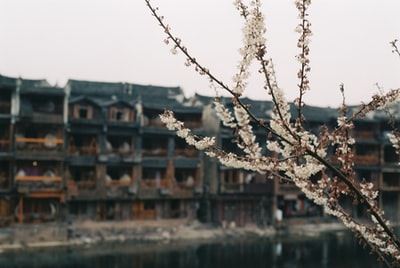 图聚科技